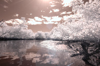 Infrared image, Commodore Creek, Tarpon Bay