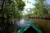 View from the kayak, Commodore Creek
