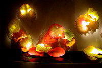 Chihuly: ATale of Two Cities