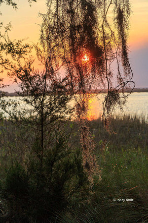 Peak-a-boo - Sunset, Jekyll Island - Umit Yuksel