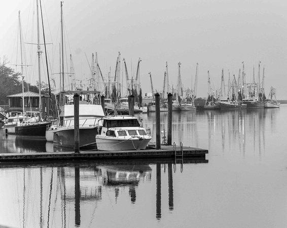 Darien River Fleet - Jim Moran
