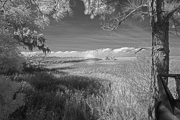 Marsh View #1 - Sapelo Island - Infrared Image - David Batley