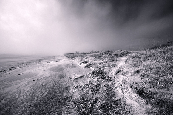 Beach and Dunes - Sapelo Island - Infrared Image - David Batley