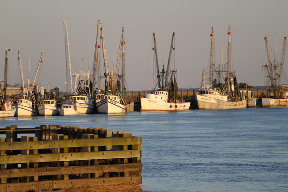 Shrimp Boat Fleet, Darien River, Darien, Georgia