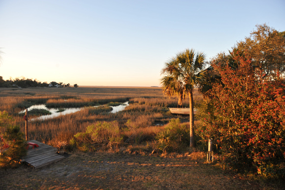 View of marsh from near Darien, Georgia