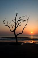 Sunsrise, Driftwood Beach, Jekyll Island