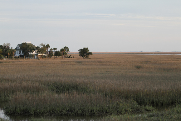 View of Atlantic marsh near Darien, Georgia