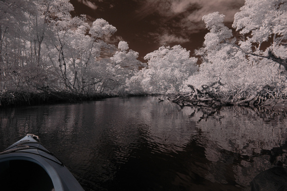 Kayaking threw Commodore Creek (infrared image)