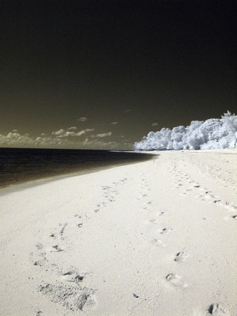 Footprints, Green Island, Great Barrier Reef, Queensland, Australia