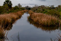 Canal in the Marsh - Jim Moran