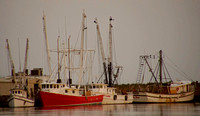 Shrimp Boats in Darien - Rich Howard