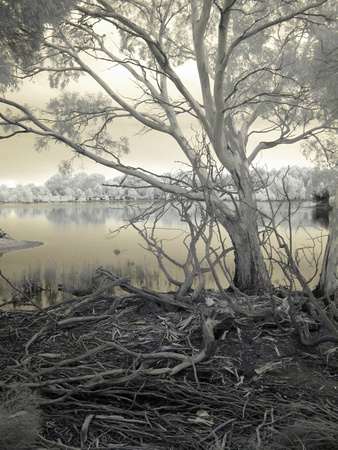 Pond, Brisbane Ranges National Park, Victoria, Australia