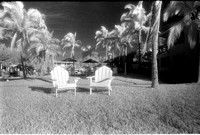 Have a Seat, Sanibel Island, Florida
