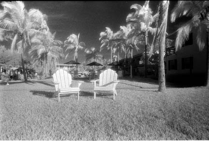 Have a Seat, Sanibel Island, Florida