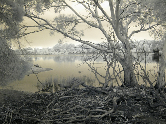 Pond, Brisbane Ranges National Park, Victoria, Australia