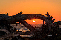 Driftwood Beach Sunrise (#2) - Jekyll Island - Umit Yuksel