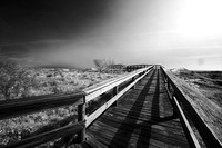 Old Boardwalk to the Beach - Sapelo Island - Infrared Image - David Batley